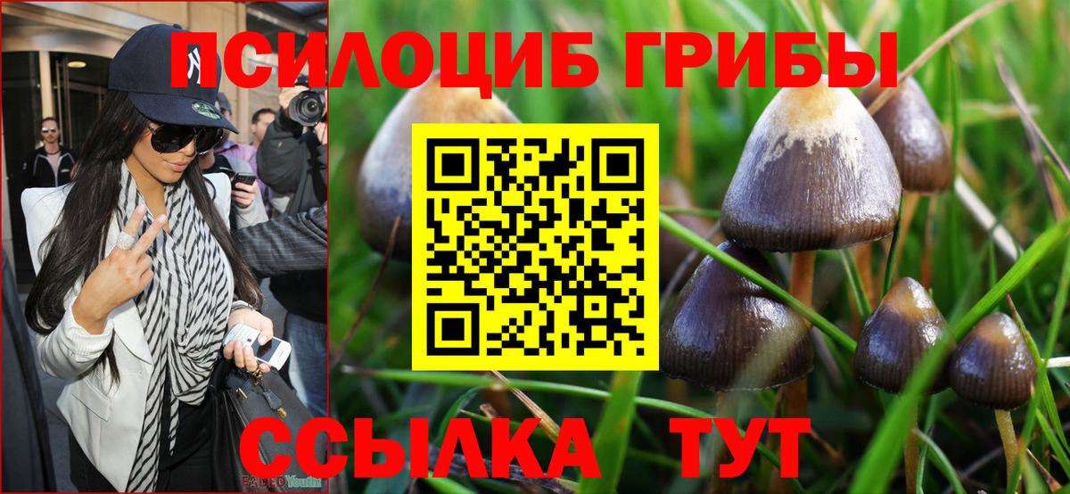 Зеленогорск  Галлюциногенные грибы GOLDEN TEACHER  Вход с VPN 